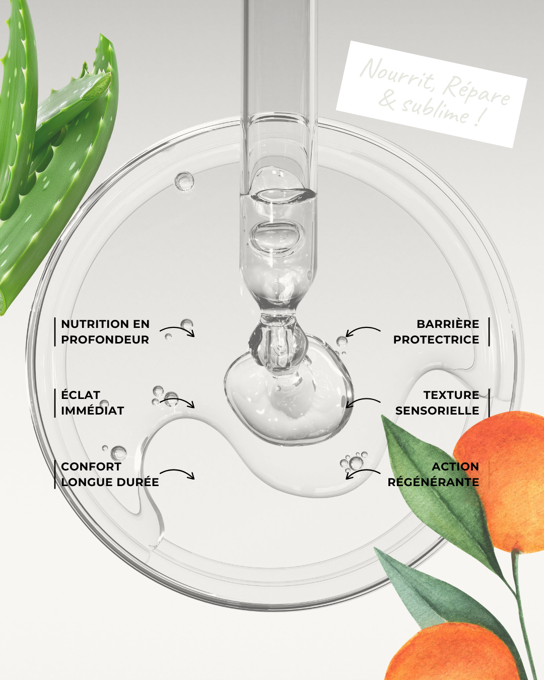 La collection Absolu